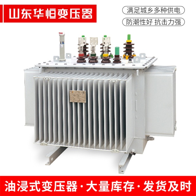 S13-10000/35琅琊琅琊琅琊电力变压器